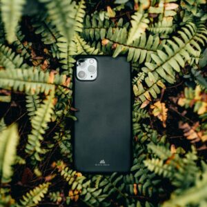 Home A sleek smartphone placed among vibrant fern leaves, showcasing modern technology in nature.